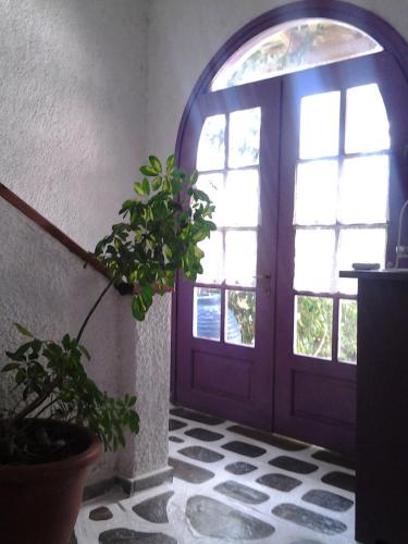 Gallery image of Levantes Hotel in Patitiri