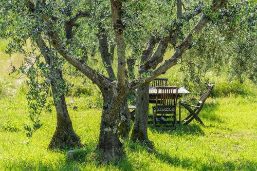 a picnic table and a bench under a tree at La Rimbecca Greve in Chianti in Greve in Chianti