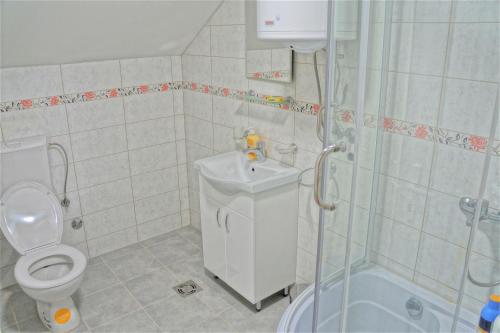 a bathroom with a toilet and a shower and a sink at Central Apartment in Nikšić