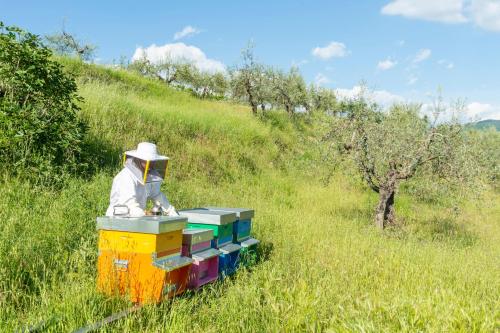a person is sitting on top of avisor on aumble at La Rimbecca Greve in Chianti in Greve in Chianti