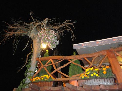 a tree with flowers in a park at night at Troll in Cisna