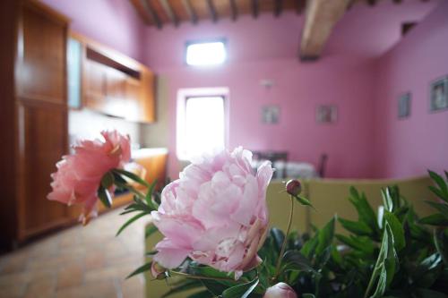 Agriturismo Aggazzotti – Photos 2