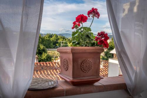 a vase with red flowers sitting on a window sill at Dimora Bandinelli in Florence
