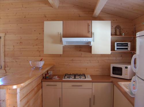 La cuisine est équipée de placards blancs, d'une cuisinière et d'un four micro-ondes. dans l'établissement chalet climatisé Porticcio Corse, à Fontanaccio