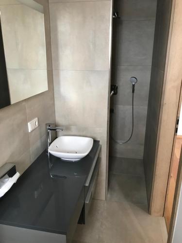 a bathroom with a sink and a shower at Kallido in Hermeskeil