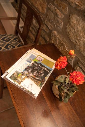 a table with a newspaper and a plant on it at Pelion Goddess Villas in Agios Georgios Nilias