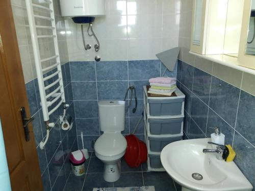 a bathroom with a toilet and a sink at Zelena Maslina in Bar