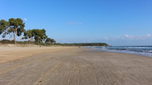 een leeg strand met voetafdrukken in het zand bij Hostal 977 in Tarragona