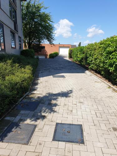 a brick pathway leading to a building with a tree at Homestay Gent-Merelbeke self check-in service in Ghent
