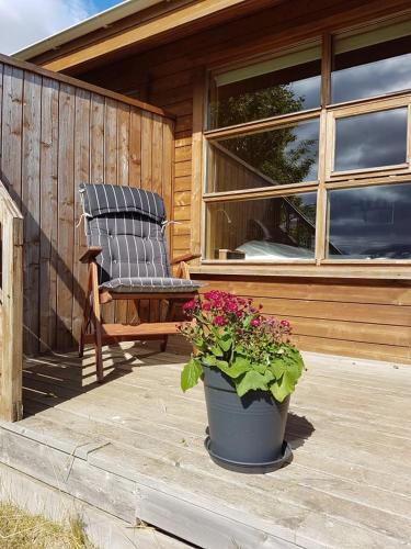 a rocking chair and a potted plant on a porch at Midsitja in Varmahlid