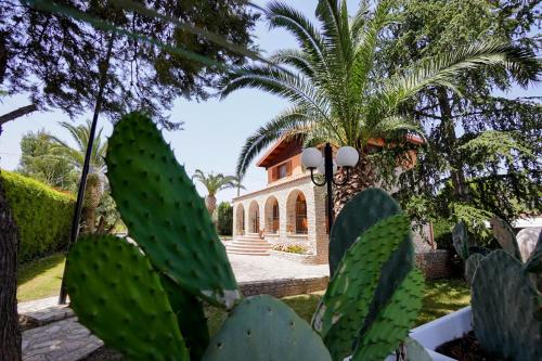 Κήπος έξω από το B&B Villa Adriana