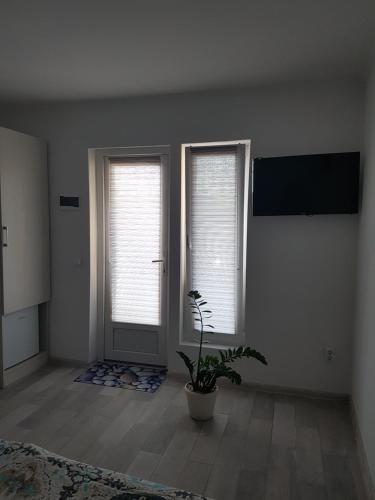 a living room with two windows and a potted plant at Apartments like hotel in Chernivtsi