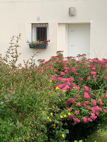 Gite les Combes Terrasse 01340 ETREZにある庭
