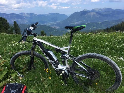 a bike parked in a field of grass at ALPENFREUND in Mittenwald