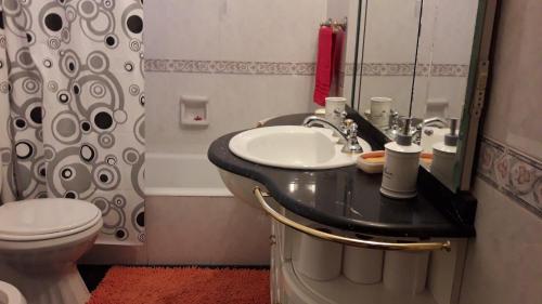 Viva San Martín, Apartamento Luminoso في بوينس آيرس: حمام مع حوض ومرحاض