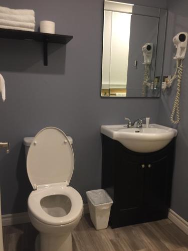 a bathroom with a toilet and a sink and a mirror at Greenside Motel in Saint Andrews