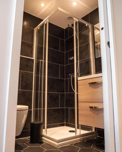 a bathroom with a shower and a toilet at Le joyau de Belledonne in Chambéry