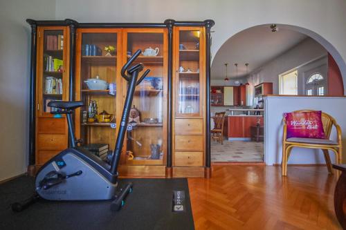 Apartment Nika