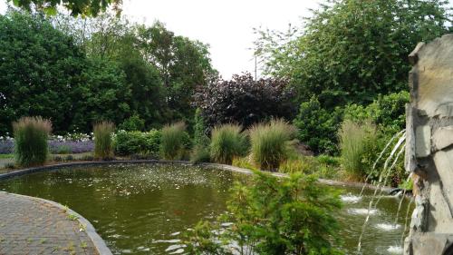 a pond in the middle of a garden at B&B Johannes-Hoeve in Baarlo