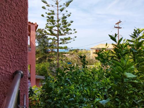 a tree in a garden next to a building at Kalokenti Studios in Aegina Town