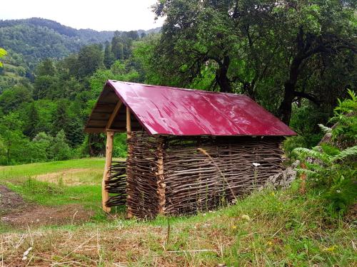a small building with a red roof on a field at Guest House "Oasis" in Khulo