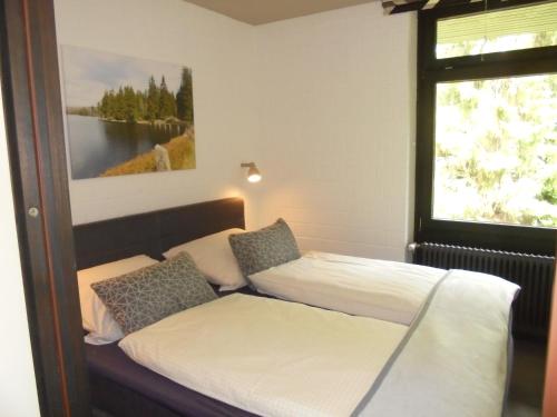 ein Schlafzimmer mit zwei Betten und einem Fenster in der Unterkunft Mein Vierjahreszeiten Hotel Garni Superior in Sankt Andreasberg
