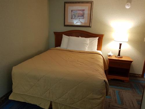 a bedroom with a bed and a lamp on a table at Franconia Notch Motel in Lincoln