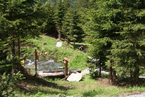 Φυσικό τοπίο κοντά σε αυτός ο ξενώνας