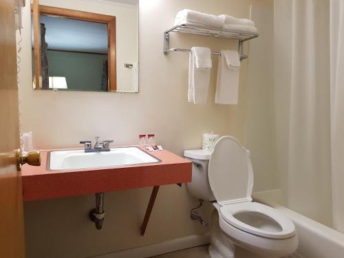 La salle de bains est pourvue d'un lavabo, de toilettes et d'un miroir. dans l'établissement Franconia Notch Motel, à Lincoln