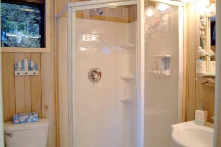 a bathroom with a shower and a toilet and a sink at Sea Parrot Ocean View Manor in Indian Brook