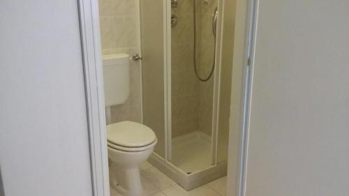 a bathroom with a toilet and a shower at Albergo Ristorante Pace in Bognanco