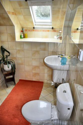 a bathroom with a toilet and a sink at Penzion Wanda in Bohumín