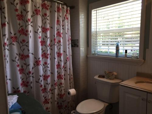 a bathroom with a toilet and a shower curtain with flowers at Just Gotta Getaway in Port Orange