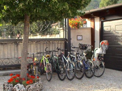 a row of bikes parked next to a tree at Hotel Bucaneve in Pescasseroli