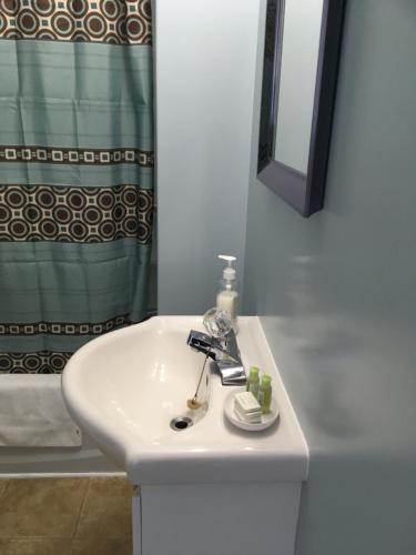 a bathroom with a white sink and a shower at Down Home Accommodations in Rocky Harbour