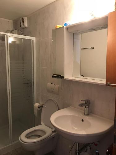 a bathroom with a toilet and a sink and a shower at Appartamenti Panorama in San Bernardino