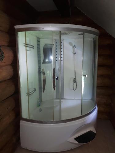 a bathroom with a shower in a glass case at Котедж RIVER HILL in Mykulychyn