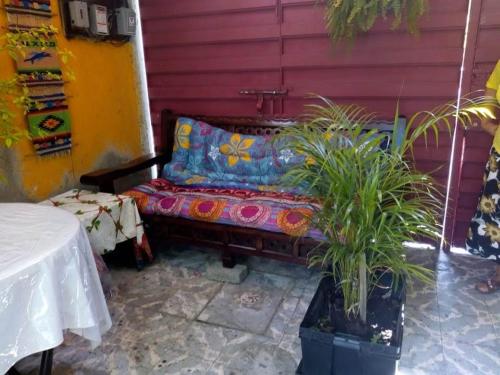 kanapę siedzącą w rogu pokoju z roślinami w obiekcie Recámara rústica w mieście Meksyk