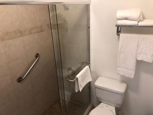 a bathroom with a shower and a toilet and towels at Orange Tustin Inn in Orange in Orange