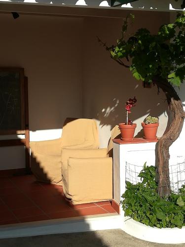 Χώρος καθιστικού στο Casa dos Pedro´s
