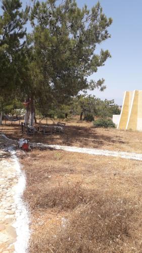 Φυσικό τοπίο κοντά σε αυτός ο ξενώνας