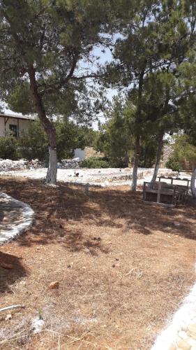Φωτογραφία από το άλμπουμ του Metochi Gavdos στη Γαύδο
