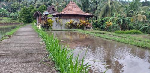 a small building next to a body of water at Uma Nirmala Aling-Aling in Singaraja