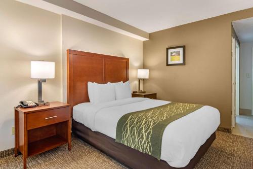a large bed in a hotel room with two lamps at Comfort Inn Douglasville - Atlanta West in Douglasville