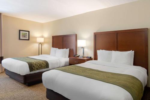 a hotel room with two beds and two lamps at Comfort Inn Douglasville - Atlanta West in Douglasville