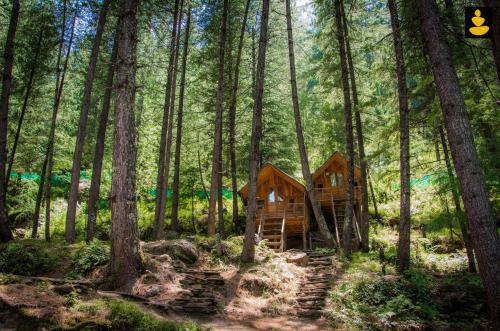 une cabane en bois au milieu d'une forêt dans l'établissement LivingStone Ojuven Treehouses, à Shimla