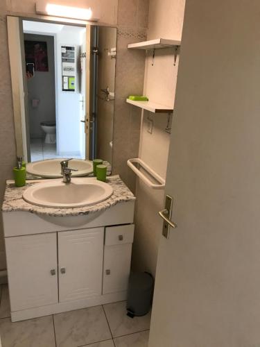 une salle de bain avec un lavabo et un miroir dans l'établissement Vias Plage : résidence sécurisée bord de mer, à Vias