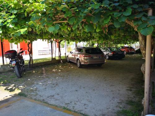 un estacionamiento con autos estacionados bajo un árbol en Breakfast & Bed Anita en Medulin