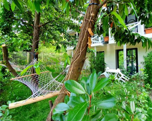 Taman di luar Kadifeli Konak Hotel & Bungalow