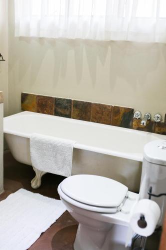 a bathroom with a toilet and a bath tub at Van Dykshuis Guest House in Heidelberg